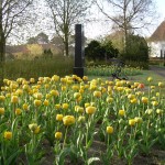 DSCN0736