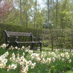 Gravsteder 030512 029